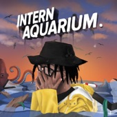 Intern Aquarium. artwork