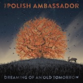 The Polish Ambassador - Camino Rojo (feat. Lulacruza)