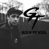 Neck of the Woods - Single album lyrics, reviews, download