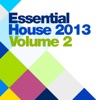 Essential House 2013 Vol.2, 2013