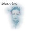 Blanc Faces, 2005