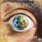 The Bear and the Owl (Kermode Remix) - Monad Moon lyrics