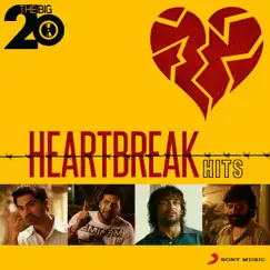 The Big 20 (Heartbreak Hits) by Various Artists album reviews, ratings, credits