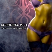 Euphoria, Pt. 4 - The House Music Selection artwork