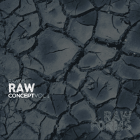 Various Artists - Raw Concept, Vol. 1 artwork