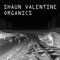 Sweeps - Shaun Valentine lyrics