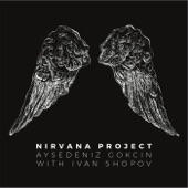 Nirvana Project artwork