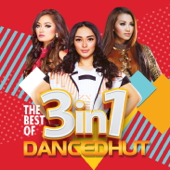 The Best of 3in1 DANCEDHUT - Various Artists