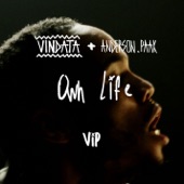 Own Life (feat. Anderson .Paak) [VIP Mix] artwork