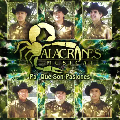 Pa' Que Son Pasiones - Alacranes Musical