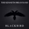 Blackbird
