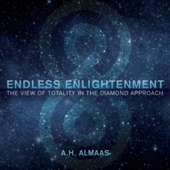 Endless Enlightenment: The View of Totality in the Diamond Approach