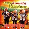 Trio Armonia Huasteca