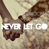 Never Let Go (feat. Meron Ryan) artwork