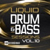 Liquid Drum & Bass Sessions, Vol. 10