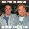 Did You Get What You Want (feat. Andrew Gold) - Single album lyrics, reviews, download