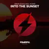 Into the Sunset - Single album lyrics, reviews, download