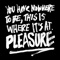 Pleasure (Reckonwrong Remix) - FRMTN lyrics