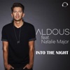 Into the Night (feat. Natalie Major) - Single