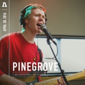 Pinegrove - Cadmium