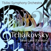 Tchaikosky: Swan Lake, Op. 20 artwork