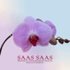 Shivpreet Singh - Saas Saas