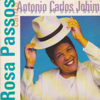 Rosa Passos Canta Antônio Carlos Jobim - 40 Anos de Bossa Nova - Rosa Passos