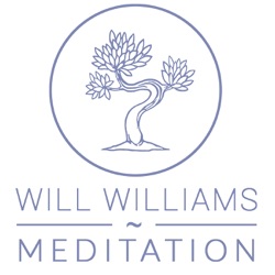 Will Williams Meditation