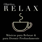 Objetivo Relax: Musicas para Relaxar a Mente e para Dormir Profundamente - 50 Canções Super Relaxantes artwork