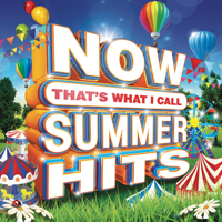 Various Artists - Now That's What I Call Summer Hits artwork