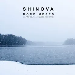 Doce Meses (El Año del Maravilloso Desastre) - Single - Shinova