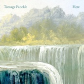 Teenage Fanclub - Like a Virgin