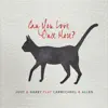 Can You Love Once More? album lyrics, reviews, download