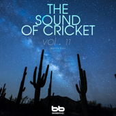 The Sound of Cricket, Vol. 11 - EP - Big Band