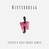 Winterbreak (Tiësto's Deep House Remix) - Single