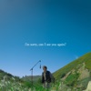 I'm Sorry, Can I See You Again? - Single