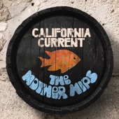 California Current