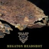 Megaton Headshot - Single