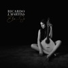 Ricardo J. Martins - Embelecer