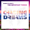 The Important Things - Single