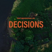 Pat Simmons Jr. - Decisions (feat. Dave Mason)