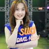 Suci (Diva Hani Cover) - Single