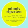 Les Fleurs / Can You Feel What I'm Saying? (Timmy Regisford Shelter Remixes) - Single