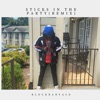 STICKS IN the PARTY (Remix) - Single