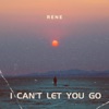 I Can't Let You Go - Single