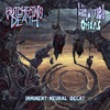 Imminent Neural Decay (Liquified Organs Side) - Single