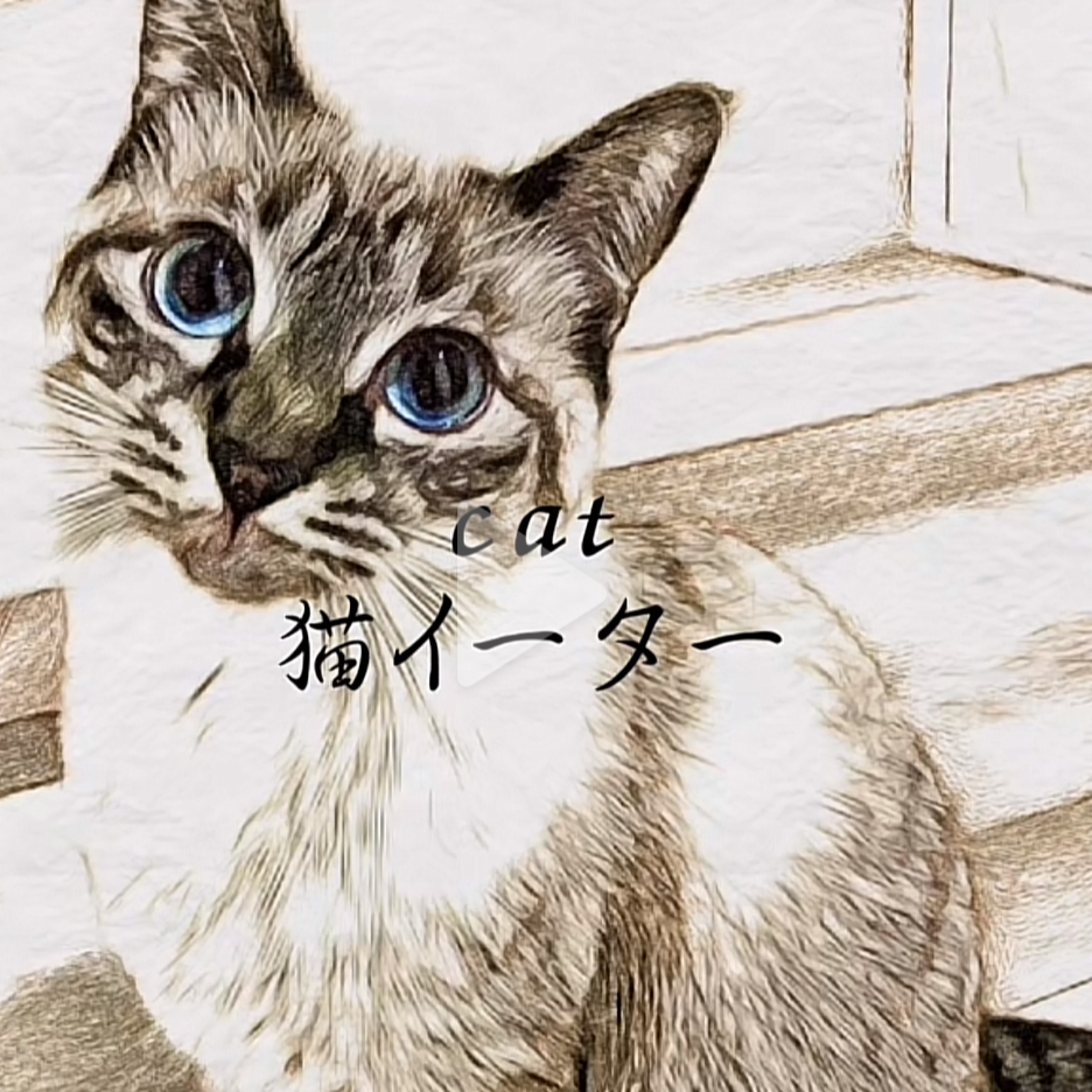 100000x100000-999.jpg