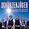 Lass die Sonne wieder scheinen - Single