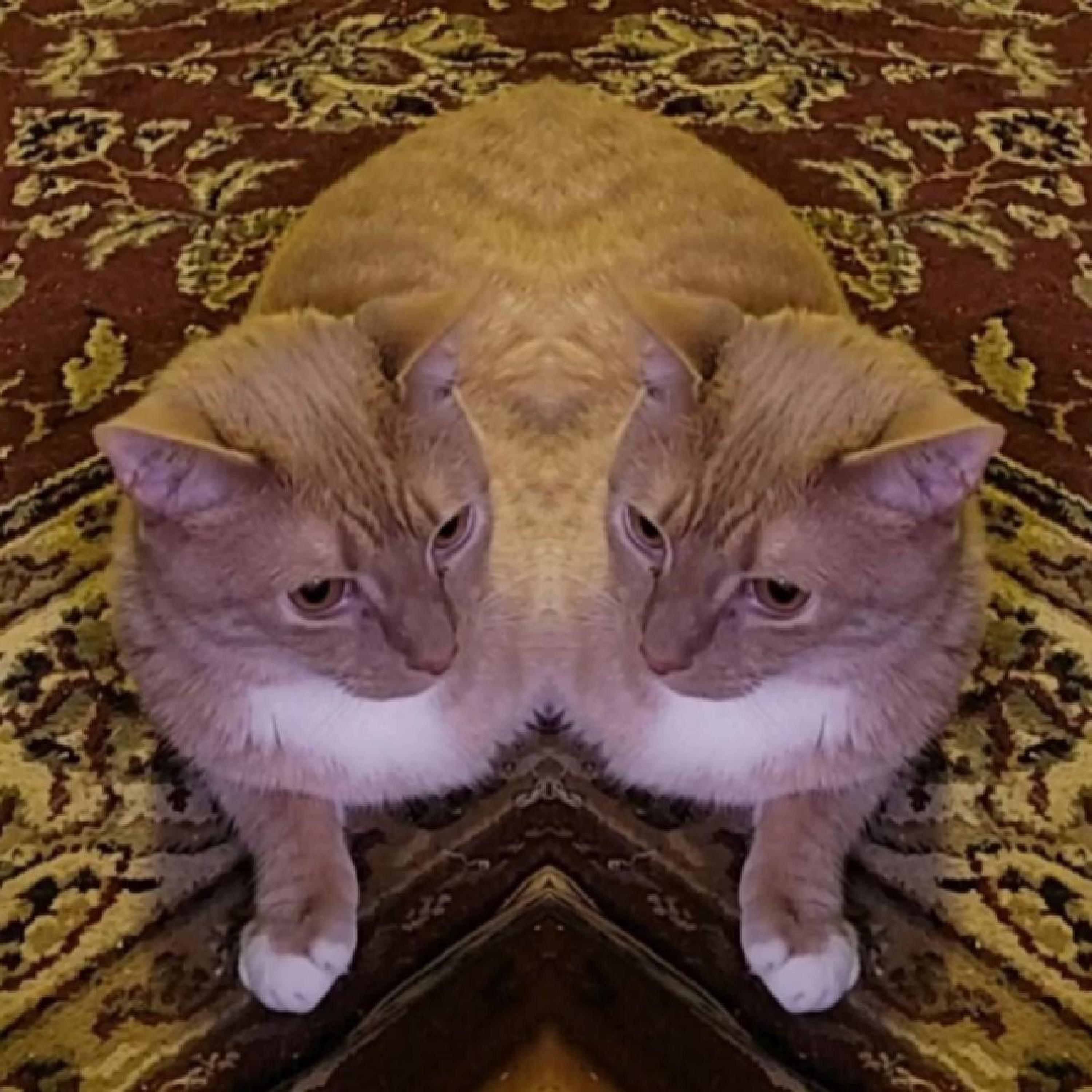 100000x100000-999.jpg