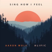 Aaron Wolf - Sing How I Feel